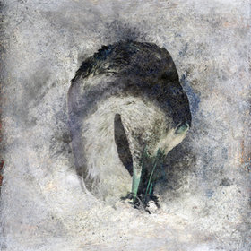 Suma - Ashes