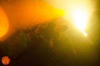 arc-1-19 arc-1-19
