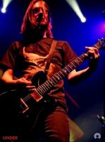 porcupine1 porcupine1