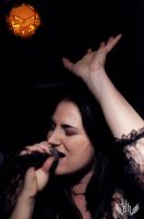 DSC_1896tmi DSC_1896tmi