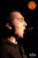 DSC_1902tmi DSC_1902tmi