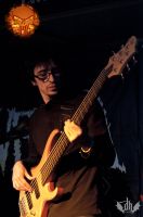 DSC_1932tmi DSC_1932tmi