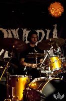 DSC_2066tmi DSC_2066tmi