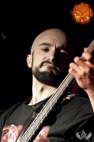 DSC_2078tmi DSC_2078tmi