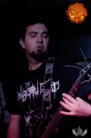 DSC_2103tmi DSC_2103tmi