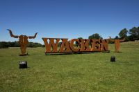 big_WOA13_letters_by_day big_WOA13_letters_by_day